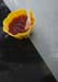 _MG_4661a_2